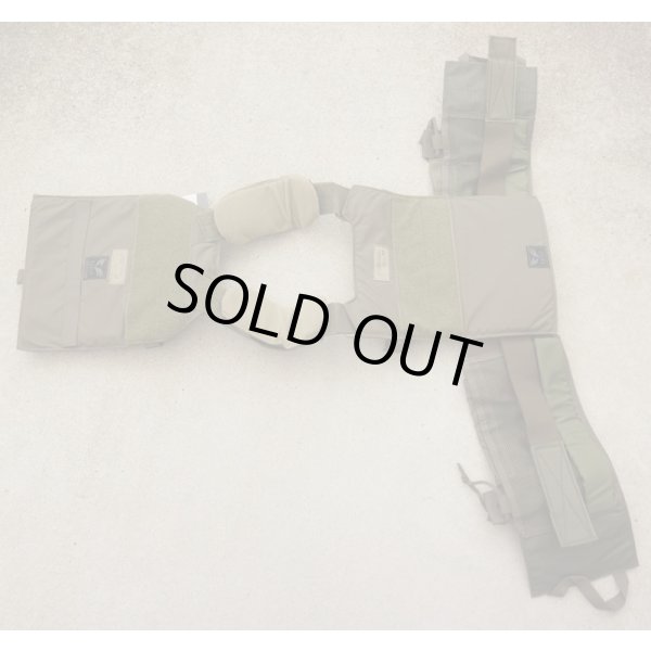 画像4: イーグルLE仕様MMACプレートキャリアGen2 RG SMALL新品 (4)