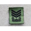 画像1: 韓国軍 韓国陸軍 帽子用サブデュード上士(曹長)階級章 (1)