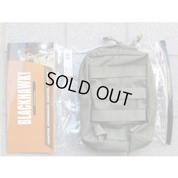 画像1: ブラックホークSTRIKEアップライトGPポーチRG新品 (1)