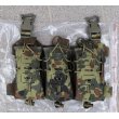 画像1: Templars Gear製AK・M4マガジン用プラカード ドイツ連邦軍フレクター迷彩(フレック迷彩)新品 (1)