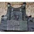 画像5: 受注生産◆当店オリジナル品NATO Special Force・AWSモジュラーチェストリグ用ホルスターパネル新品 (5)