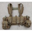 画像1: 米軍イーグル プロトタイプ マルチパーパスチェストリグ カーキ新品 (1)