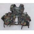 画像1: メーカー不明チェストリグ ドイツ連邦軍(ドイツ軍)フレクター迷彩 新品 (1)
