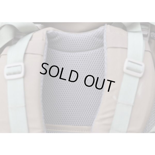 画像10: 米軍ミステリーランチSATLブリッジャーアサルトパック初期型コヨーテMEDIUM (10)