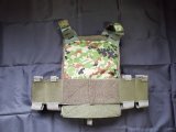 画像: 受注生産◆ウクライナ軍日本人義勇兵仕様 当店オリジナル品プレートキャリア新品