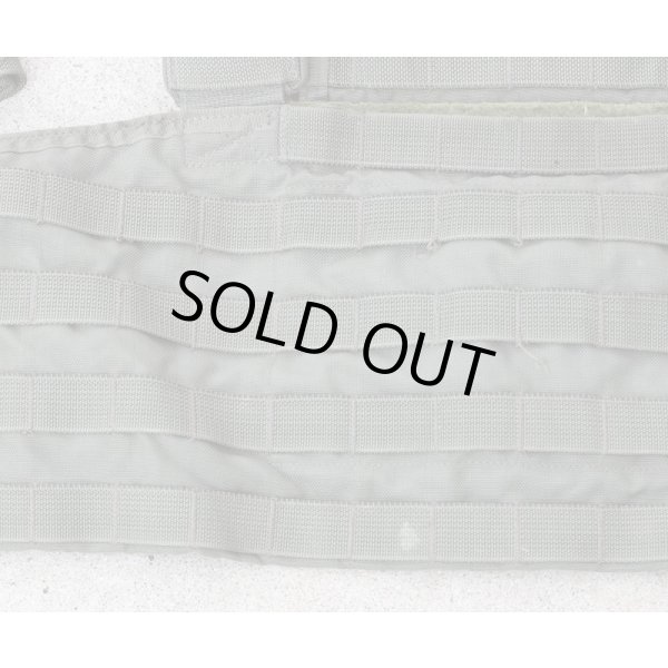 画像3: 米軍イーグルRLCSローデシアンリーコンベスト(RRV)RG (3)