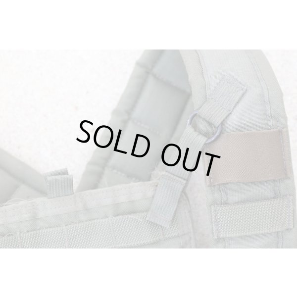 画像6: 米軍イーグルRLCSローデシアンリーコンベスト(RRV)RG (6)