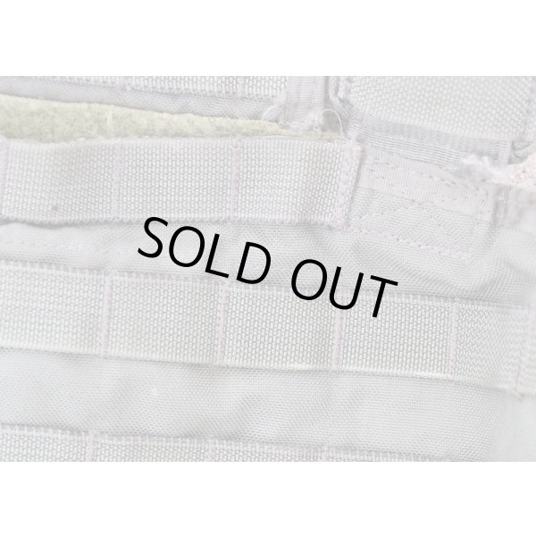 画像5: 米軍イーグルRLCSローデシアンリーコンベスト(RRV)RG (5)