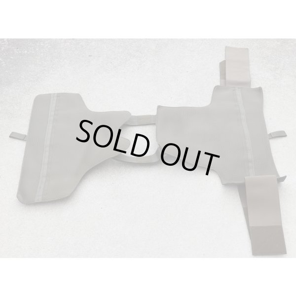 画像3: LindnerhofP6ボディアーマー ドイツ連邦軍フレクター迷彩(フレック迷彩)SMALL新品 (3)