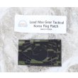 画像1: LMG大韓民国フラッグパッチ 海軍海兵隊デジタル迷彩 新品 (1)