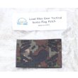 画像1: LMG大韓民国フラッグパッチ 陸軍デジタル迷彩 新品 (1)