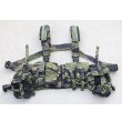 画像1: LBT-1961A-Rチェストリグ タイガーストライプ迷彩 新品 (1)