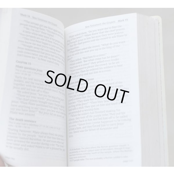 画像6: 英軍陸軍 新約聖書DPM迷彩 (6)