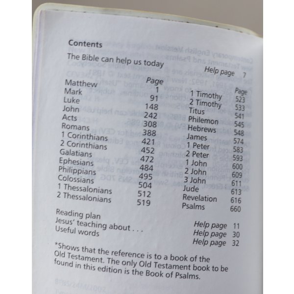 画像4: 英軍陸軍 新約聖書DPM迷彩 (4)