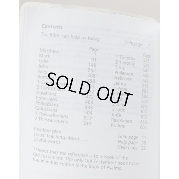 画像4: 英軍陸軍 新約聖書DPM迷彩 (4)