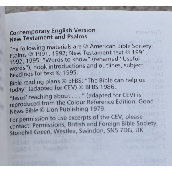 画像5: 英軍陸軍 新約聖書DPM迷彩 (5)