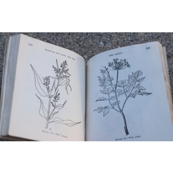 画像10: 米軍 米海軍航空隊 第二次世界大戦サバイバルマニュアル (10)