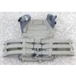 画像2: Crye JPCプレートキャリアRG SMALL新品 (2)