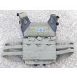 画像1: Crye JPCプレートキャリアRG SMALL新品 (1)