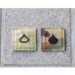 画像1: 米軍 米陸軍階級章OCPスコーピオンW2迷彩?OEFCP迷彩? (1)