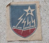 画像: 南ベトナム軍 陸軍 第2歩兵師団第4歩兵連隊部隊章シルクパッチタイプ