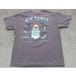 画像2: ギルダン米空軍TシャツLARGE (2)
