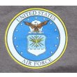 画像3: ギルダン米空軍TシャツLARGE (3)