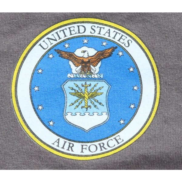 画像3: ギルダン米空軍TシャツLARGE (3)