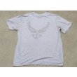 画像2: 米軍放出ソフィー米空軍TシャツMEDIUM (2)
