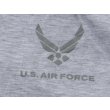 画像4: 米軍 米空軍PTUトレーニングTシャツ (4)