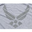 画像5: 米軍 米空軍PTUトレーニングTシャツ (5)